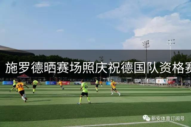 施罗德晒赛场照庆祝德国队资格赛完美收官